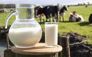 厦门海沧自贸园区乳制品进口强劲增长86% 打造区域乳业枢纽