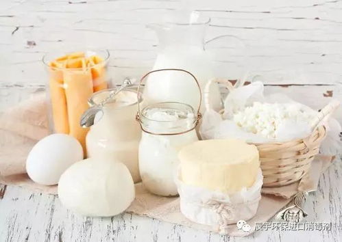 乳制品cip管道罐体如何正确清洗消毒